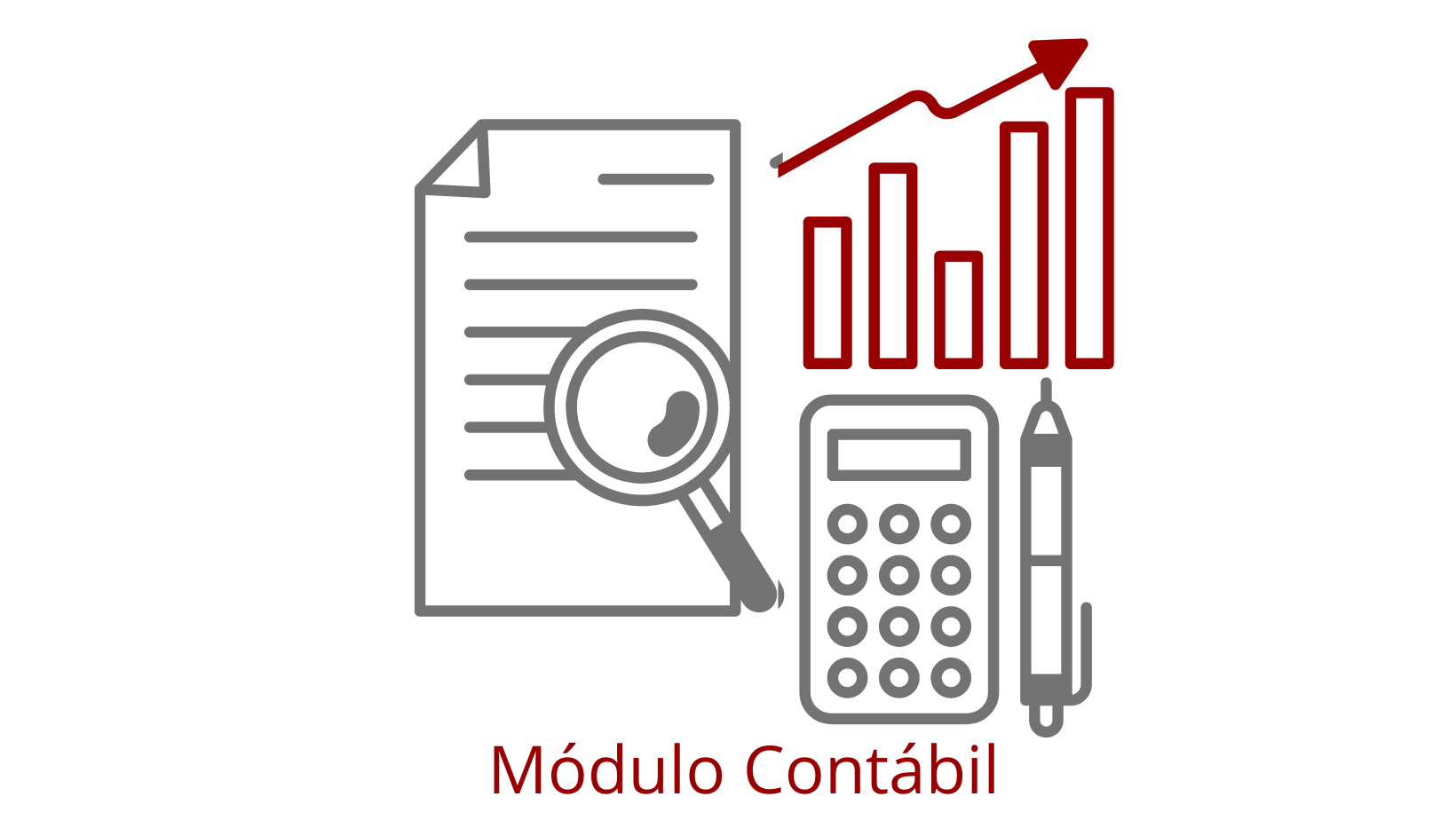 sistema-contabil-transporte-internacional